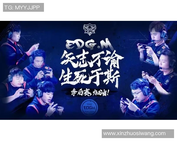 王者荣耀EDG战术解析及其控制体系的深度剖析与应用探讨实时新闻